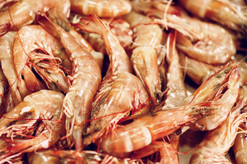 Fresh shrimp, background