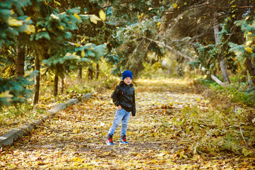 Obraz premium Beautiful funny boy playing in autumn Park