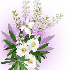 Beautiful floral background of white lupine and narcissus 