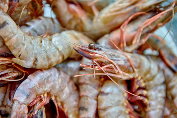Fresh cold raw shrimps close-up, background, top view