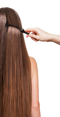 Fototapeta premium Barber's hand combing her long straight hair isolated .