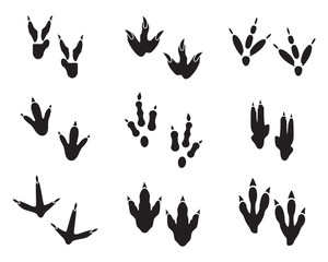 Dinosaur footprint tracks black set. Paw, animal monster, ancient reptile. Vector illustration