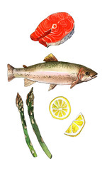Sea trout fish with lemon and asparagus isolated. Handmade watercolor painting illustration on a white paper art background