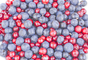blueberries and cranberries (cowberries) on the white background