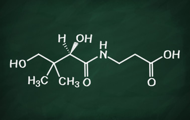 Structural model of Vitamin B5