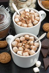 delicious cocoa with marshmallow and cookies, vertical, top view