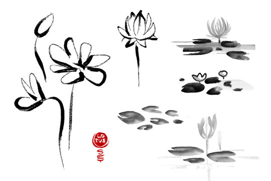 Lotus flowers hand drawn with ink isolated on white background with text "Lotus set". Traditional Japanese ink painting sumi-e