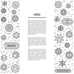 cells of viruses and bacteria