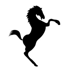Silhouette of a horse, mustang, which reared