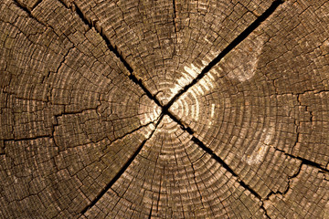 Fototapeta premium Struktur