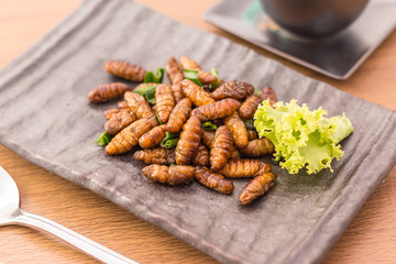 Fried insects