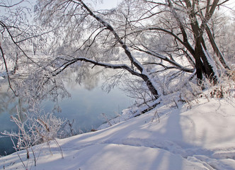 Foggy morning on the river