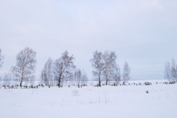 Winter walk in Sokolka