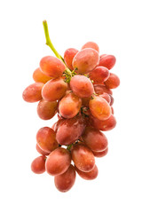Grape fruit