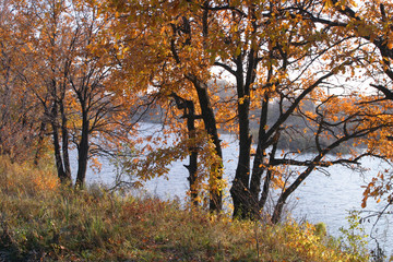 Autumn walk along the river