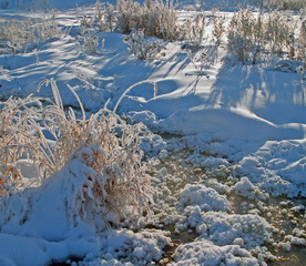 Winter Walk along the river