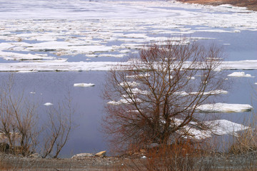 spring break © salman2