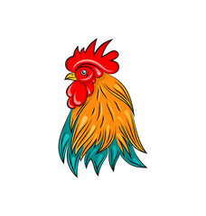 Head of Rooster, Hand Drawn Style, Colorful Cock