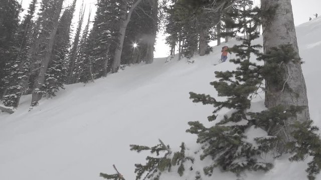 dolly reveal of woman skiing fresh powder snow on a treed slow