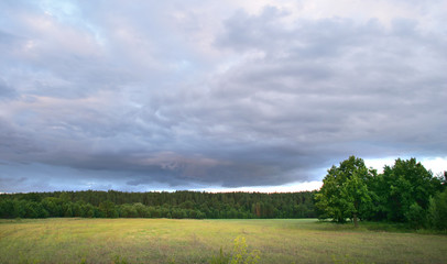 beautiful sunset in a field near the forest