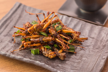 Fried insects