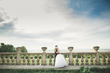 Beautiful romantic wedding couple of newlyweds hugging near old castle