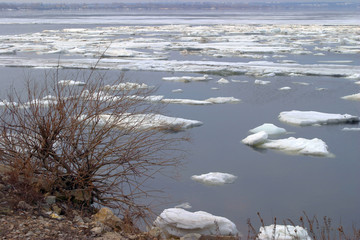 spring break © salman2