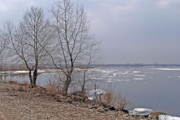 spring break © salman2