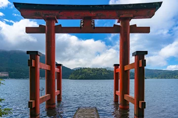 Tuinposter Bright red Torii gate in the water © Olga K