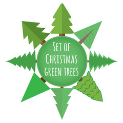 Set of Christmas green trees. Pine set in vector.