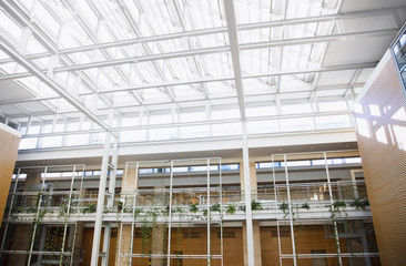 Glass wall in the office building. Modern sunny empty loft room