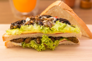 Insect food
