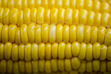 .Corn seed placed on the pods do not have a closer look at the d