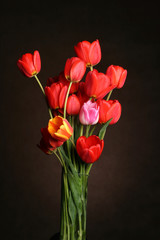 spring flowers