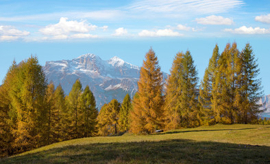 Fantastic autumn landscape with yellow larch on a background of