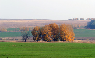 Russian expanses