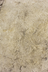 Stone Texture./Stone Texture. 