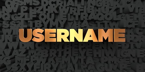 Username - Gold text on black background - 3D rendered royalty free stock picture. This image can be used for an online website banner ad or a print postcard.