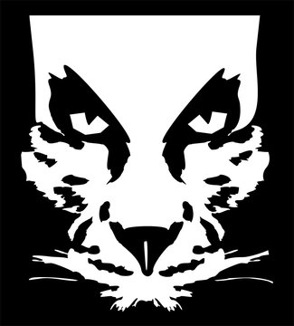Feline head, vector illustration