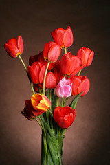 spring flowers