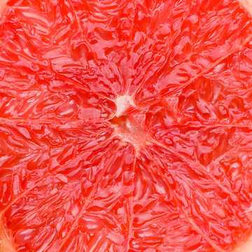 cut grapefruit texture Macro