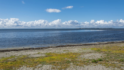 Wild beach in Landskrona 2
