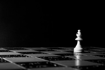 Scacchi fotografati su una scacchiera