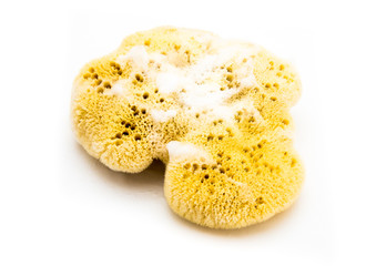 Natural bath sea sponge with soap isolated on white background
