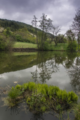 Fototapeta na wymiar Tall slim tree and its reflection in the lake at Kopaonik mounta