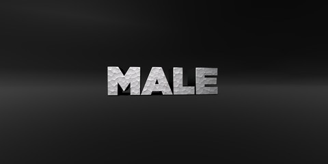 MALE - hammered metal finish text on black studio - 3D rendered royalty free stock photo. This image can be used for an online website banner ad or a print postcard.