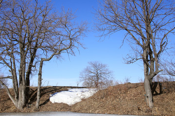 Floating of ice on the river