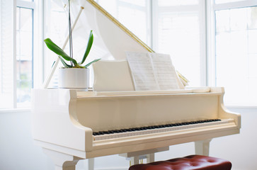 Living room with grand piano