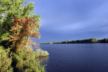Fototapeta na wymiar Golden Autumn on the River