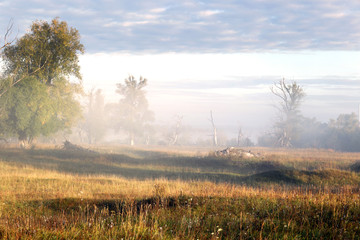 foggy morning